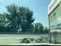 保賜利汽車(chē)玻璃清潔劑前擋風(fēng)內側清洗劑擦車(chē)內車(chē)窗專(zhuān)用清潔神器 曬單實(shí)拍圖