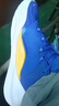 安德瑪（UNDERARMOUR）庫里CURRY 11男女情侶運(yùn)動籃球鞋3027416 藍(lán)黃色100 3026615-100 42 曬單實(shí)拍圖