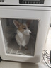 寵智迪寵物烘干箱貓咪烘干機中型犬狗狗洗澡吹毛吹干神器家商用可折疊 130L烘干箱【40斤內5面出風(fēng)高速風(fēng)力鋼化玻璃門(mén)】 曬單實(shí)拍圖