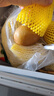 佳沛（zespri）新西蘭 陽(yáng)光金果12粒單果約122-146g 獼猴桃 中秋水果禮盒 曬單實(shí)拍圖
