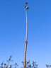霸天安四鏡頭太陽(yáng)能攝像頭農村野外4g終身免流量室外看護遠程監控器家用360度全彩高清夜視戶(hù)外免插電 曬單實(shí)拍圖
