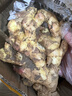 產(chǎn)地直發(fā)云南小黃姜新鮮生姜黃姜調味料新鮮蔬菜生鮮 3斤 裝 曬單實(shí)拍圖