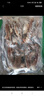 一蝦一世界新鮮冷凍大號三去魷魚(yú)系列 生鮮火鍋燒烤食材海鮮水產(chǎn) 魷魚(yú)須 5斤(凈重)  【固形物70%】 曬單實(shí)拍圖