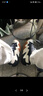 匡威（Converse）官方Run Star Motion低幫未來(lái)電波厚底鞋黑色172895C 172895C/黑色 37 曬單實(shí)拍圖