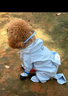 嬉皮狗（hipidog）狗狗雨衣衣服寵物夏季小狗泰迪比熊小型犬立體背包可牽引連腳雨衣 邦迪藍 L （建議體重8-11斤） 曬單實(shí)拍圖