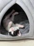 智宙兔子窩保暖兔子睡覺(jué)小窩保暖窩棉窩荷蘭豬專(zhuān)用窩冬季侏儒兔高級窩 蒙古包經(jīng)典灰色（28*28*30cm） 曬單實(shí)拍圖