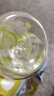 babycare兒童水杯二合一戶(hù)外運動(dòng)水杯吸管杯直飲幼兒園水壺上學(xué)專(zhuān)用600mL 曬單實(shí)拍圖