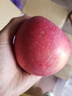 糖心丑蘋(píng)果 10斤裝當季高山新鮮水果正宗脆甜紅富士萍果整箱包郵 丑蘋(píng)果-帶箱9-10斤-小果 曬單實(shí)拍圖