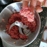 小熊（Bear）絞肉機家用 碎肉機 電動(dòng)多功能料理攪拌機餃子肉餡蒜蓉機 攪肉機 3L大容量全不銹鋼杯 QSJ-P05E3  曬單實(shí)拍圖