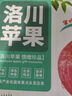 洛川蘋(píng)果陜西延安特產(chǎn)紅富士時(shí)令蘋(píng)果水果禮盒送蘋(píng)果生鮮新鮮脆甜整箱批發(fā) 10斤爆賣(mài)70-75mm（凈重8.5斤） 曬單實(shí)拍圖