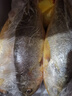 鴻順【冰鮮】黃花魚(yú)4條4斤 生鮮魚(yú)類(lèi) 寧德大黃魚(yú) 地標產(chǎn)品 源頭直發(fā) 曬單實(shí)拍圖