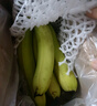 高山精品甜蕉現摘新鮮水果香蕉孕婦寶寶輔食搭配丫丫生鮮特產(chǎn) 2斤帶箱裝【青蕉發(fā)貨】 曬單實(shí)拍圖