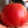 京鮮生沙瓤粉西紅柿 凈重3斤 單果100g+果菜兩吃 源頭直發(fā) 【搜生鮮館】 曬單實(shí)拍圖