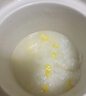 浦利頓（PLODON）電燉鍋 分月齡BB煲粥飯鍋嬰兒專用微壓燉盅 寶寶燉湯輔食鍋輔食機 曬單實拍圖