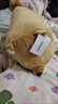 名創(chuàng  )優(yōu)品（MINISO）柴犬系列毛絨公仔趴姿玩具娃娃抱枕睡覺(jué)室內臥室辦公室生日禮物 曬單實(shí)拍圖