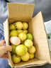 廣西欽蜜9號黃金百香果萬(wàn)澄當季新鮮大果黃皮果奶茶店水果 【1斤 約11-17個(gè)】單果30-45g 曬單實(shí)拍圖