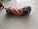 曇蓓漫貓咪衣服防掉毛夏季貓咪狗狗衣服寵物衣服幼貓中小型犬春秋衣服 粉色熊熊頭（M碼建議4-6斤） 【貓狗通用/透氣舒適】 曬單實(shí)拍圖