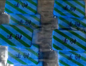 槍手電熱蚊香片套裝無(wú)導線(xiàn)無(wú)味72片+1器無(wú)香型基孔肯雅熱驅蚊電蚊香片 曬單實(shí)拍圖