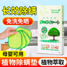 JINYIHOUSE 日本品牌除螨包床上家用去螨蟲(chóng)墊神器免洗免曬防螨植物除螨貼4片 曬單實(shí)拍圖
