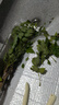 格秀潔凌霄花苗凌霄花樹(shù)苗庭院爬藤植物凌霄苗老樁大盆栽綠化攀爬紫藤苗 中華凌霄5年苗（當年開(kāi)花） 苗 曬單實(shí)拍圖