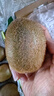 佳沛（zespri）綠奇異果特大果22-25個(gè)原箱裝單果約133-176g 獼猴桃 水果 曬單實(shí)拍圖