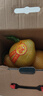 正宗梅州白心蜜柚非沙田柚新鮮水果現(xiàn)摘直發(fā)丫丫 大果/2.5-3.5斤 4粒裝【實(shí)惠】 曬單實(shí)拍圖