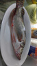 品鮮肴淡水魚(yú)生態(tài)小桂魚(yú)鱖魚(yú)桂花魚(yú)鰲花魚(yú) 漁民捕獲鮮活魚(yú)現殺水產(chǎn)生鮮 凈膛三去250-300g （1條）小桂魚(yú) 曬單實(shí)拍圖