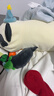 babycare嬰兒玩偶安撫枕寶寶多功能哄睡抱枕側睡靠背檔枕咘咘熊貓45*23*15 曬單實(shí)拍圖