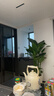 植男植女天堂鳥(niǎo)盆栽客廳室內好養大型落地綠植辦公室大葉鶴望蘭源頭直發(fā) 曬單實(shí)拍圖