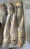 【黑哥海鮮】舟山特產深海流網黃魚黃花魚急凍鎖鮮無冰8-10條/斤 舟山小黃魚500g*3袋（8-10條/袋） 曬單實拍圖