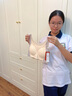 婷美發(fā)育期少女初中學(xué)生運動(dòng)文胸青春期高中生防震背心大童內衣 膚XL 曬單實(shí)拍圖
