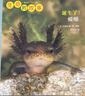 生命的故事 第4輯12冊 水母烏賊章魚(yú)蛇 昆蟲(chóng)自然兒童科普繪本 高清實(shí)拍動(dòng)物世界課外閱讀百科全書(shū)寫(xiě)真集 2-3-6歲幼兒園圖書(shū)  曬單實(shí)拍圖