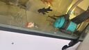 創(chuàng  )寧魚(yú)缸漁池循環(huán)變頻潛水泵 水族箱安靜抽水  水陸兩用 魚(yú)池假山過(guò)濾 升級款【超輕音25W】流量2200-3500L 曬單實(shí)拍圖