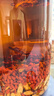 不老潭糧食酒 桶裝高度瀘州糯紅高粱酒濃香型散裝白酒純糧壹號 42度 5L 曬單實(shí)拍圖