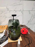 MPPMCK生命之樹(shù)苔蘚微景觀(guān)生態(tài)瓶創(chuàng  )意桌面造景盆景綠植盆栽節日生日禮物 成品煙灰款生態(tài) 曬單實(shí)拍圖