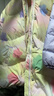 Classic Teddy兒童羽絨服女童外套冬季款中大童保暖加厚中長(cháng)款開(kāi)衫上衣 TD漸變花朵米白 130 101g 曬單實(shí)拍圖
