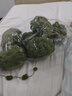 貝初眾球球線(xiàn)蓋毯diy手工毯子織毛毯生日禮物女毛線(xiàn)送女朋友粗毛線(xiàn)編織 橄欖綠【環(huán)形針+視頻教程】贈黑色球球 8團【約可織100*120cm蓋毯】 曬單實(shí)拍圖