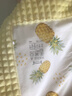 ibaby/英倫寶貝開(kāi)學(xué)午休毯兒童四季通用被子幼兒園春秋 睡毯80*100cm/沁心菠蘿/ 曬單實(shí)拍圖