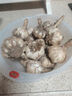 春平賦2025年新鮮大蒜頭現(xiàn)挖新蒜大蒜批發(fā)鮮蒜紅皮蒜糖醋濕蒜干蒜 2斤裝含箱1000g【果徑4-5cm] 曬單實拍圖