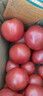 新鮮沙瓤西紅柿自然成熟現摘現發(fā)番茄下蔬菜生鮮減肥單果80g+ 新鮮西紅柿 5斤 帶箱 曬單實(shí)拍圖