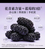 方家鋪子桑葚干500g/瓶 六星桑椹干大果均≥2cm黑桑葚子泡水枸杞泡酒禮物 曬單實拍圖