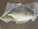 翔泰海南深海金鯧魚(yú)700g 2條 火鍋 生鮮魚(yú)類(lèi) BAP認證 海鮮水產(chǎn) 中秋 曬單實(shí)拍圖