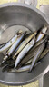 戀品惠多春魚(yú)滿(mǎn)籽新鮮冷凍多籽魚(yú)燒烤油炸商用批發(fā)多春冰鮮海魚(yú)生鮮魚(yú)類(lèi) 多春魚(yú)10斤 曬單實(shí)拍圖
