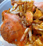 舟山梭子蟹鮮活特大野生大螃蟹新鮮冷凍海鮮水產(chǎn)海蟹飛蟹白蟹順豐 7-9兩/只【5斤凈重 特大肥壯】 曬單實(shí)拍圖