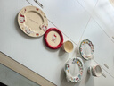 三麗鷗可愛(ài)餐具吃飯碗碟套裝家用盤(pán)子高顏值喬遷生日禮物女生禮盒 10英寸圣誕盤(pán) 曬單實(shí)拍圖