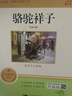 駱駝祥子+海底兩萬里（套裝全2冊）七年級下冊初一必讀經(jīng)典名著課外閱讀同步人教課本老舍儒勒·凡爾納原著贈送習(xí)題+視頻講解 曬單實拍圖