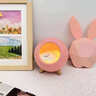 Apple Rabbit生日禮物送女生女朋友女友閨蜜高級創(chuàng  )意實(shí)用AI貓窩燈小夜燈擺件 【京東當/次日達】粉色·貓窩燈（粉色燈光禮盒+禮袋） 曬單實(shí)拍圖