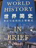 世界簡(jiǎn)史：變遷與延續的主要模式（第8版）頂尖學(xué)者全球史代表作 人類(lèi)簡(jiǎn)史文明的歷程全球史 曬單實(shí)拍圖