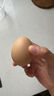 龍鳳活珠活珠子50g*10枚 五香味 毛蛋13天新鮮營(yíng)養雞胚蛋 開(kāi)袋即食熟食 曬單實(shí)拍圖