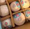 佳農 泰國進(jìn)口椰青9粒裝 單果900g+ 贈開(kāi)椰器吸管 中秋送禮水果 包郵 曬單實(shí)拍圖